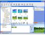 AnyPhoto Manager 1.0.0.186