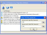 Lotus 1-2-3 Password