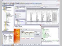 EMS IB Manager Professional