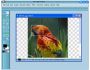 Image InDepth 1.2.0.0