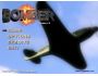 Bomber 1.5