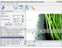 Infine Capture Flash 1.2