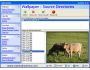 Calendarium 3.13