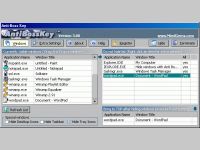 Anti Boss Key-Hide windows quickly