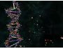Living Cell 3D Screensaver 1.4