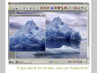 Capture-It!