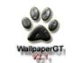 Wallpaper GT 2.12