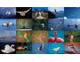 Birds Photo Screensaver 1.0