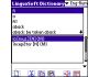 LingvoSoft Talking Dictionary English <-> Romanian for Palm OS 3.1.76