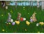 Easter Bunnies Screensaver 1.0