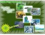 Forest Images Screensaver screenshot