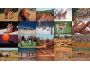 Wildlife Photo Screensaver 1.0