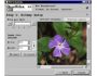 BDV DataHider 2.1