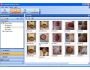 Chrysanth NETime Author 1.1