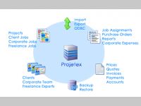 Projetex 2005 Import Utility