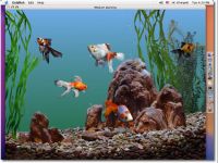 Goldfish Aquarium OSX