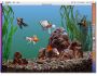 Goldfish Aquarium OSX 1.0