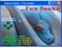 Fun Snake 1.6