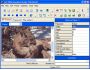CyD WEB Animation Studio 1.2