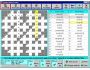 Amigos Spanish Puzzles 2.4