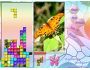 Illustrix: Butterfly Dream (Pocket) 1.0
