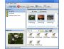 Koala Screen Saver Factory 1.00