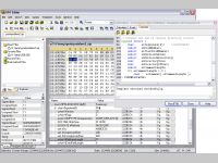 010 Editor