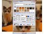 ColorPic 4.1