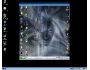 Remote Access 1.0 1.0