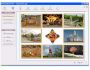 PhotoOne Print ¨C the best photo printing software 1.5