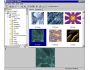 CCViewer 5.1