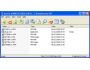 AnyZip 1.00