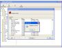 AdRem SNMP Manager 1.0