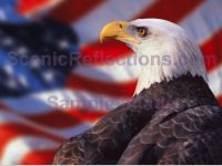 Patriotic Screen Saver