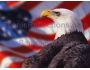 Patriotic Screen Saver 4.0