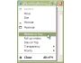 Actual Window Menu 5.0