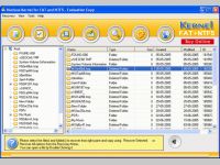 Nucleus Kernel FAT- Data Recovery Software