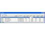 NetAdjust Website Monitor 1.1