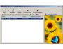 easy2sync4outlook 1.05