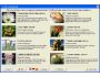 Cactus Emulator 2.0