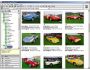 StudioLine Photo Basic 3.8.3