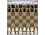 Pawn 1.71