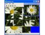 15 Slide Puzzle 1.3