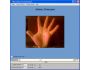 Web Camera Security System 1.0