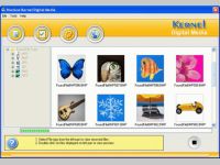 Nucleus Kernel Digital Media Recovery Software