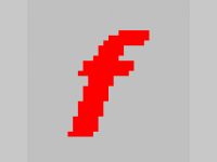 FlashPlayerControl .NET