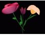 3D_Ikebana Screensaver 4.7