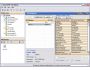 secureSWF Lite v1.0