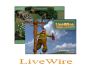 Live Wire 1.0