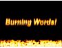 Burning Words Screensaver 1.1